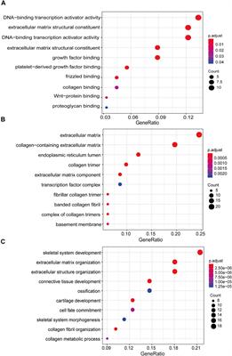 A Computational Framework to Identify Biomarkers for Glioma Recurrence and Potential Drugs Targeting Them